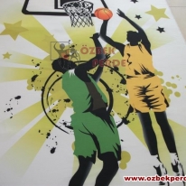 brillant-basketbol-baskili-hali-gorseli