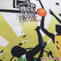 brillant-basketbol-baskili-halisi