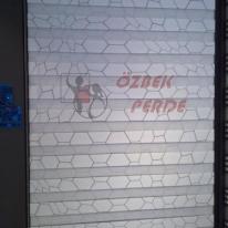 397008_105354049592769_478571820_n