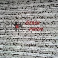 403148_105357346259106_542666131_n