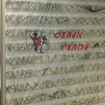 404180_104844819643692_1146601061_n