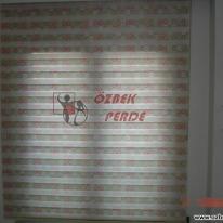 404323_107112262750281_129970578_n