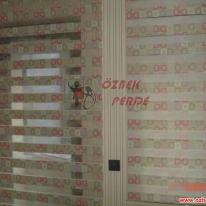 429257_107112296083611_675167389_n