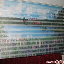 doga-manzarali-fotograf-baskili-zebra-perde