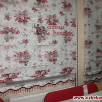 gullu-plant-zebra-perde-kirmizi-renkli-etekli