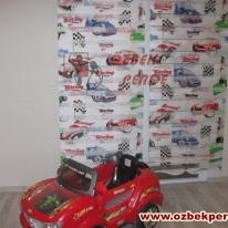 racing-zebra-perde