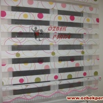 rengarenk-brillant-aloe-zebra-perde-modeli.JPG