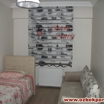 istanbul-baskili-zebra