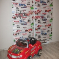 racing-zebra-perde-gorseli