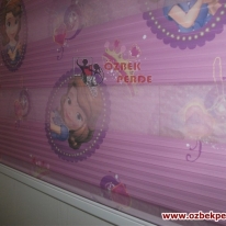 sofia-pliseli-baskili-mor-zebra-perde