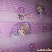 sofia-pliseli-baskili-zebra-perde-gorseli