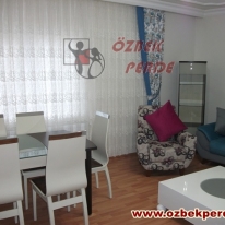 turkuaz-renkli-popart-kanatli-fon-perde