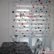 kirmizi-siyah-renkli-aloe-zebra-perdesi