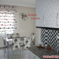 kirmizi-siyah-renkli-brillant-aloe-zebra-perde