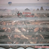 kapadokya-plise-baskili-pano-zebra-perde