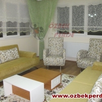 tul-stor-perde-yesil-renk