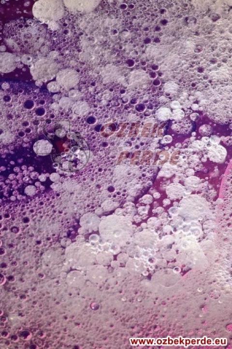 Köpük Baskılı Halı