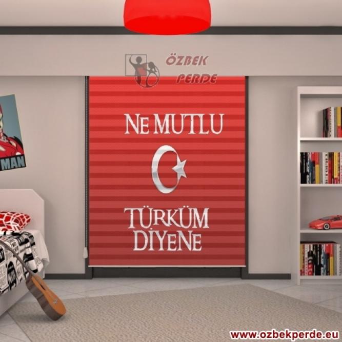 Ne Mutlu Türküm Diyene Zebra Perdesi